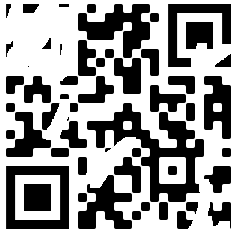 Broken QR